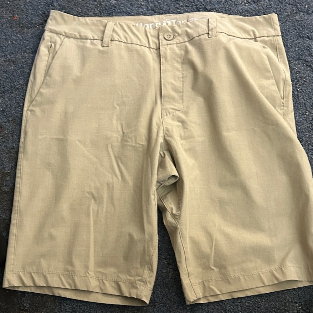 Men's HANG TEN Tan Shorts